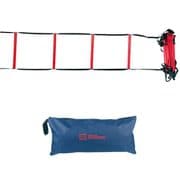 ウィルソン STARTER TRAINNING LADDER 日本正規品 WRZ2542 [テニスコート備品]