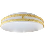 小型LEDシーリング ライト 昼白色（22cm） KLE-C220W