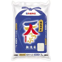 無洗米 福島県産 天のつぶ 5kg 令和6年産