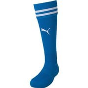 ラインイリ ストッキング 729881 02 30cm [サッカー ソックス メンズ]
