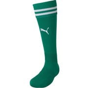 ラインイリ ストッキング 729881 05 27cm [サッカー ソックス メンズ]