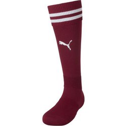 ラインイリ ストッキング 729881 09 27cm [サッカー ソックス メンズ]
