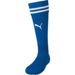 ラインイリ ストッキング 729881 11 27cm [サッカー ソックス メンズ]