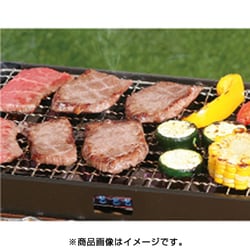 ヨドバシ Com イワタニ Iwatani 岩谷産業 Cb Abr 1 カセットガス 炉ばた焼き器 炙りや 通販 全品無料配達