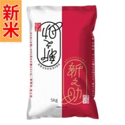 新潟県新之助 5kg 令和7年産