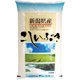 精米 新潟産こしいぶき 5kg 令和6年産