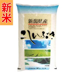 精米 新潟産こしいぶき 5kg 令和7年産