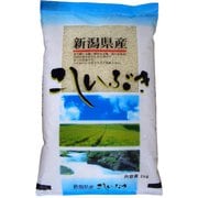 精米 新潟産こしいぶき 2kg 令和6年産