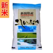 精米 新潟産こしいぶき 2kg 令和7年産
