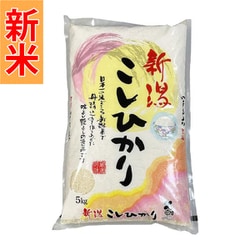 精米 新潟県産 こしひかり 5kg 令和7年産