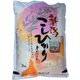 精米 新潟県産 こしひかり 2kg 令和6年産