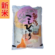 精米 新潟県産 こしひかり 2kg 令和7年産