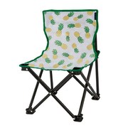 WE21DC93 GYXGL [HAPPY TIME CHAIR Gray×Gold]