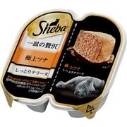 一皿の贅沢 しっとりテリーヌ 極上ツナ [猫用 キャットフード 75g 総合栄養食]