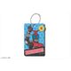 平成仮面ライダーシリーズ アクリルパスケース VoL.2 仮面ライダーカブト [キャラクターグッズ]