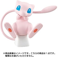 いうことをきかない リザードン ミュウツー 2種セット ポケモン