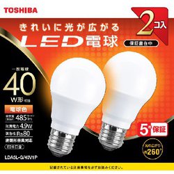 40W 全方向 L色 2P LDA5L-G/40V1P