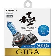 BD629H [ザ・ブループラス5000K ハイビーム専用 HB3]