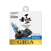 BD629N [ザ・ブループラス5000K HB4/3]