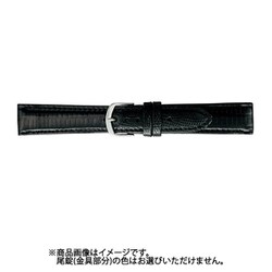 BAA005AO [時計バンド テジュー 17ミリ ブラック]