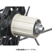 FH-BO015X1/HG 10/11s フリーボディ