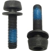 DB 2x19mm リアマウントボルトfor10-14mm