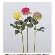 A-31828 022 ローズ