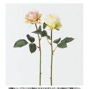 A-31828 052 ローズ