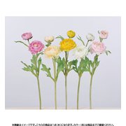 A-31840 010 ラナンキュラスX2