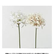 A-32379 001 ネリネリリィ