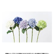 A-32617 001 ハイドランジア ホワイト