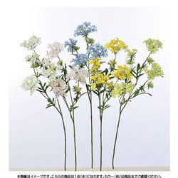 A-32805 010 クイーンアンズレース