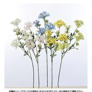 A-32805 010 クイーンアンズレース