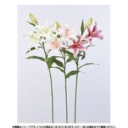 A-33155 003 リリィ×2 ツボミ×1