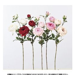 ヨドバシ Com Asca アスカ A 001 キャベッジローズx2 ツボミx1 通販 全品無料配達