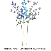A-33554 007 ラクスパーX20 ツボミX5