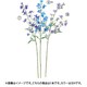 A-33554 009H ラクスパーX20 ツボミX5
