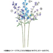 A-33554 016 ラクスパーX20 ツボミX5