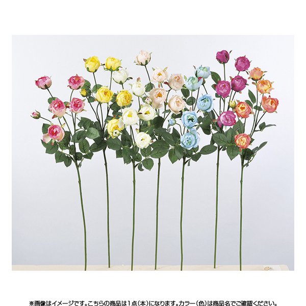 A 011 ミニキャベッジローズx5 ツボミx1 Carpydecor Com