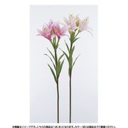 A-33688 005 リリィX3 ツボミX2
