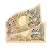 新２千円札 猫 メモ帳 [キャラクターグッズ]