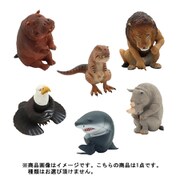 ANIMAL LIFE Tears 1個 [コレクショントイ]