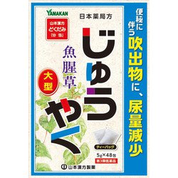 日局 ジュウヤク 大型 5g×48包 内容量：16日分 [第3類医薬品 漢方薬・生薬]