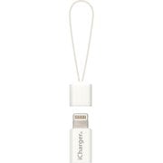 PG-MLCN12 [Lightning-micro USB 変換アダプタ ホワイト]