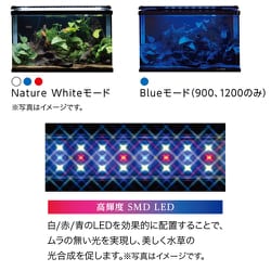 ヨドバシ Com コトブキ工芸 Kotobuki コトブキ フラットled Ss 32 ブラック 観賞魚用led照明 通販 全品無料配達