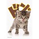 キャラクタースリーブ 子猫 [トレーディングカード用品]