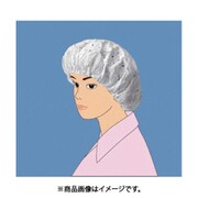 オカモト 帯電キャップ Aタイプ(100枚入)760WF [ふた]