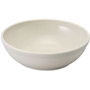大皿 №113GR(グレー) ポリプロA-2菜皿