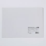 セーフライトアタッチメントフィルター 小四切 230x280mm SAF-A911