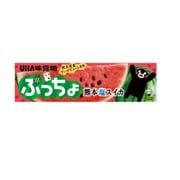 ぷっちょスティック 熊本塩スイカ 10粒